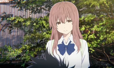 a silent voice the shape of voice|shoko nishimiya a silent voice.